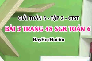 Giải bài 3 trang 48 Toán 6 Tập 2 SGK Chân trời sáng tạo